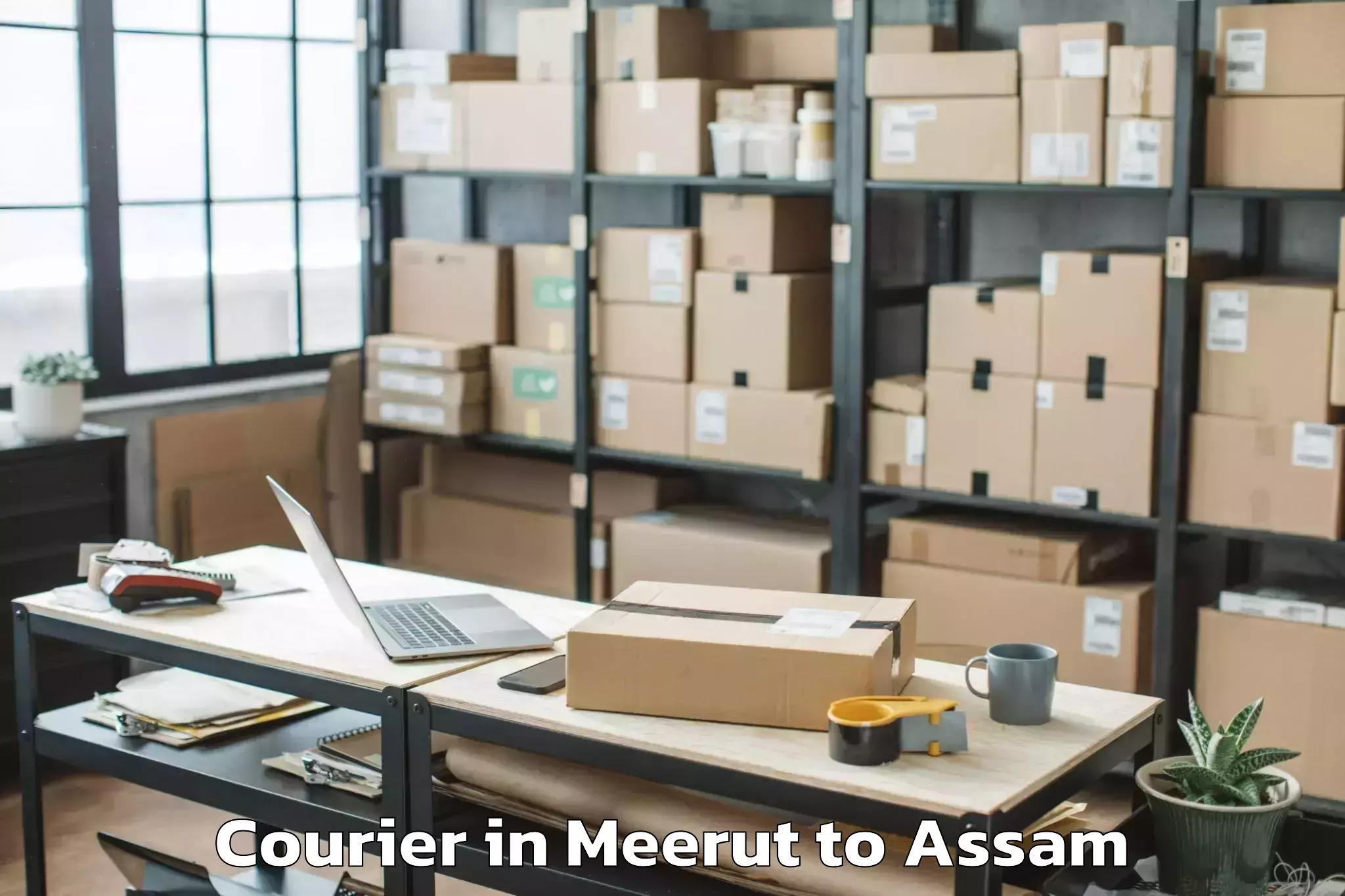 Leading Meerut to Dudhnoi Courier Provider